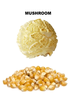 Picture of 70155 -Mushroom popcorn 50lbs